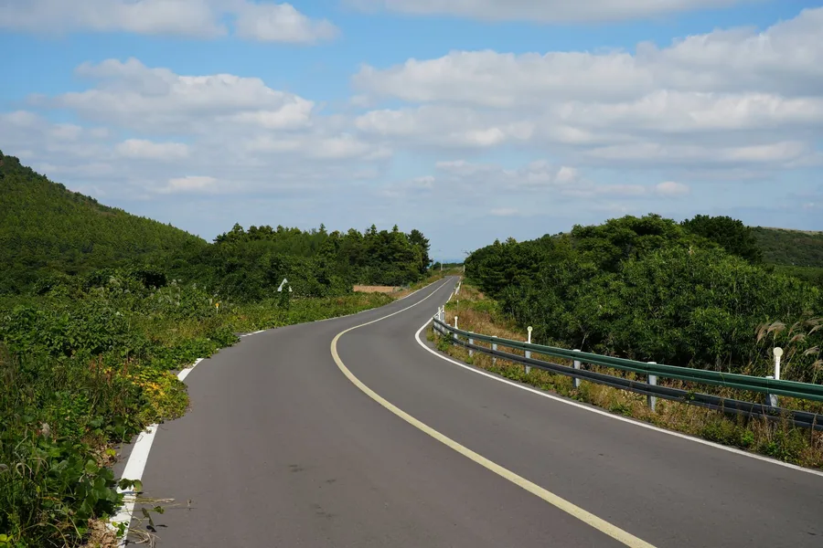 Completed green road through forested terrain