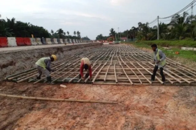 Bamboo-geotextile composite (Geobamtile)